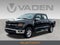 2024 Ford F150 XLT