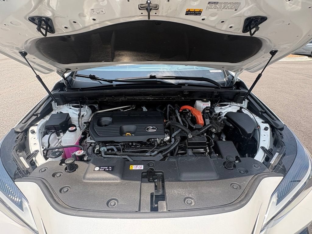 2023 Lexus NX 