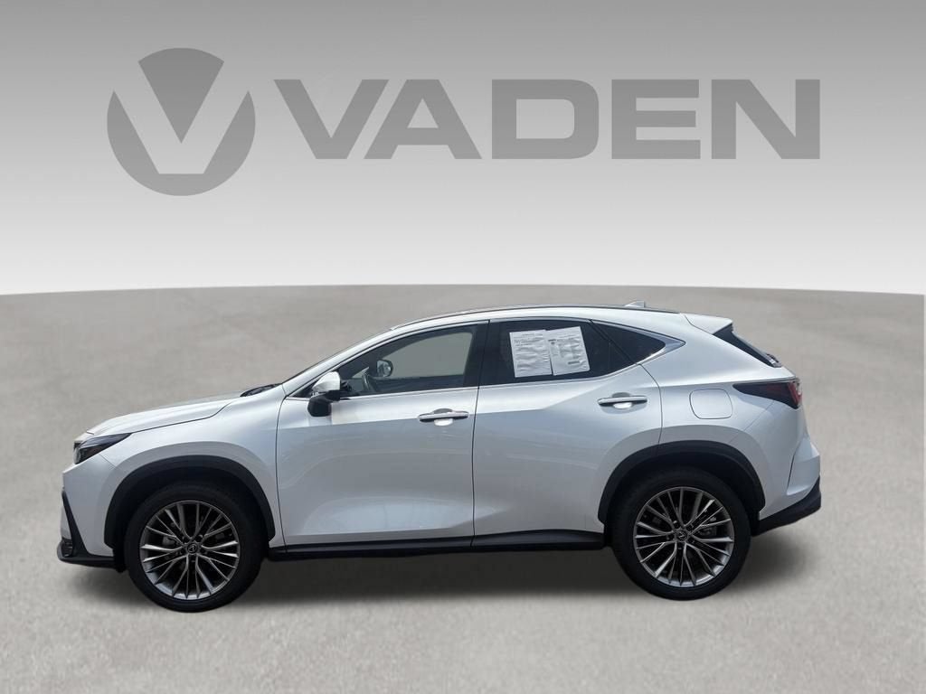 2023 Lexus NX 