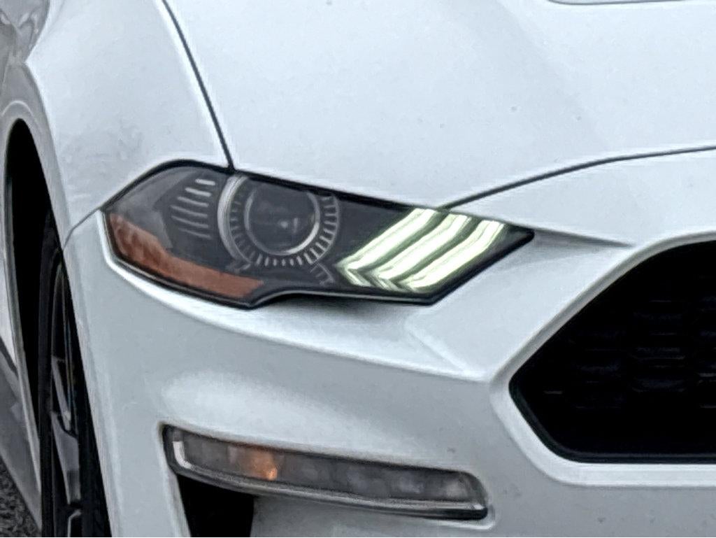 2023 Ford Mustang EcoBoost